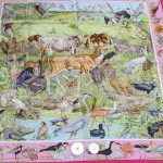 Vie Sauvage Du Texas (La) Caesar Kleberg Wildlife