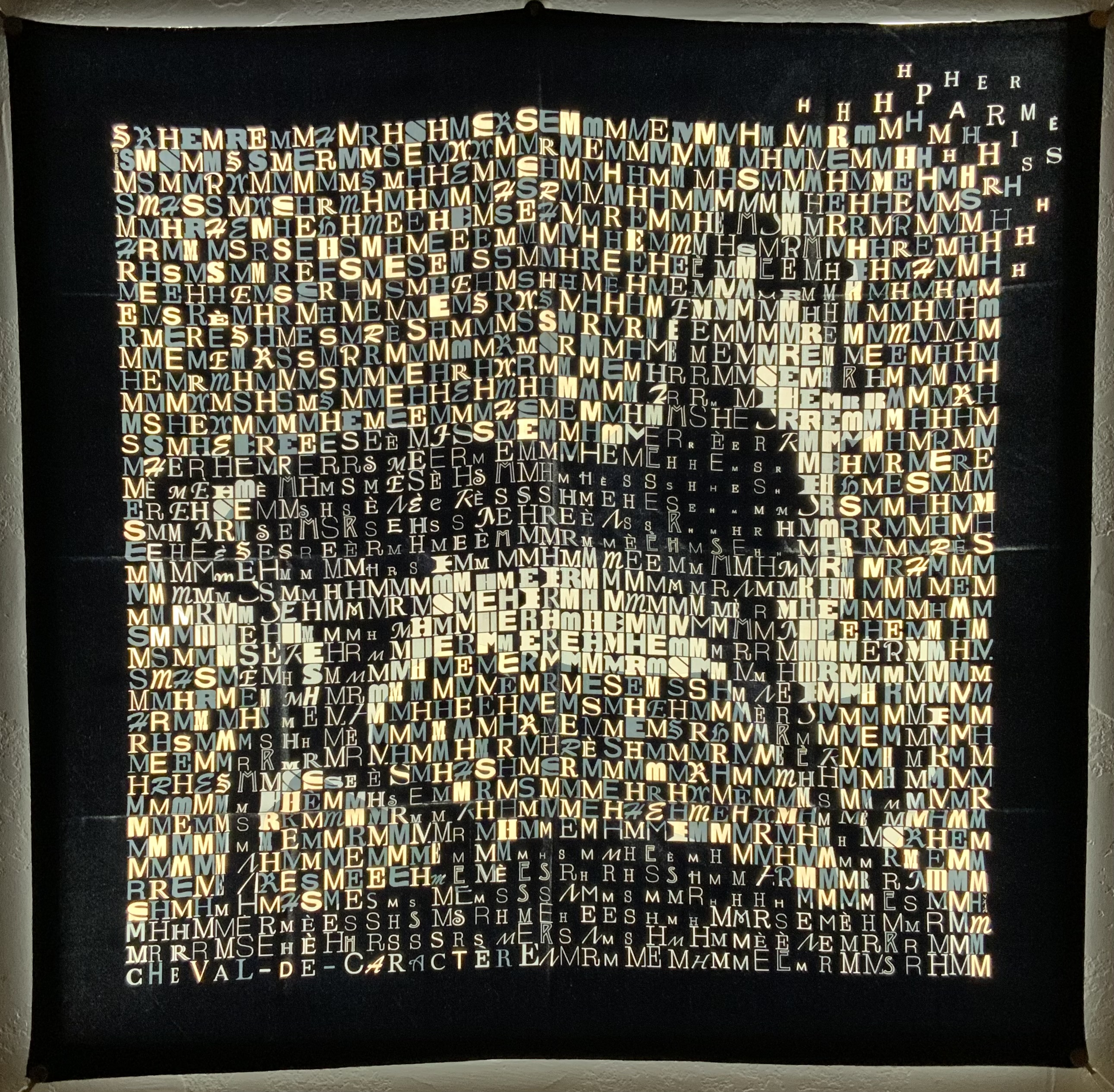 Cheval De Caractere - Image 4