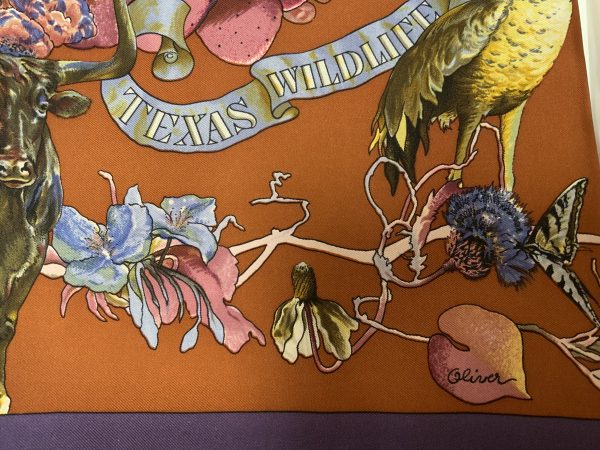 Faune Et Flore Du Texas - Image 4