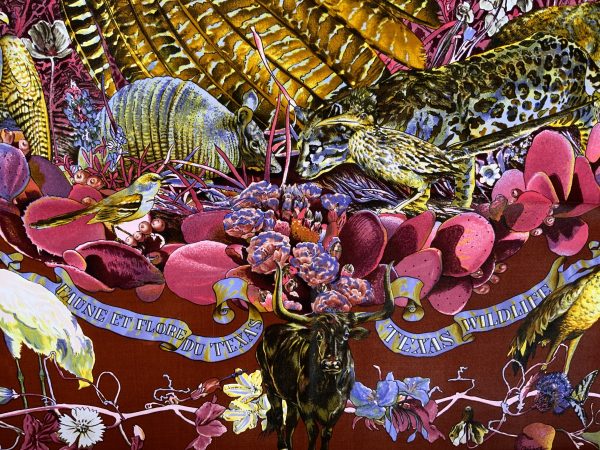 Faune Et Flore Du Texas - Image 3