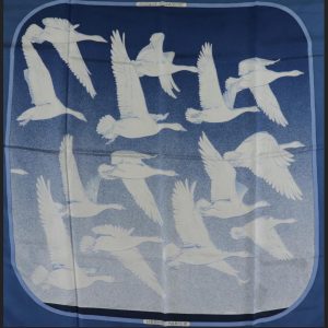 Oiseaux Migrateurs