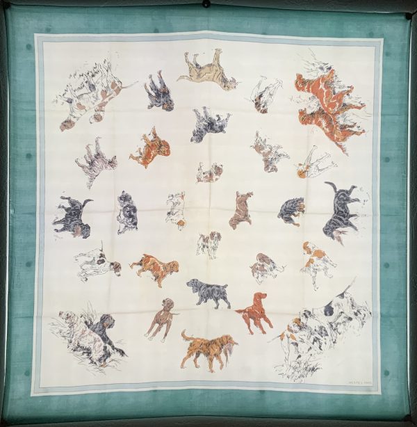 Race De Chiens De Chasse II