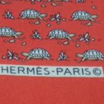 Tortues 9Les) (nom non officiel)