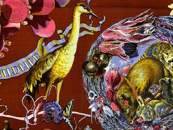 Faune Et Flore Du Texas - Image 8