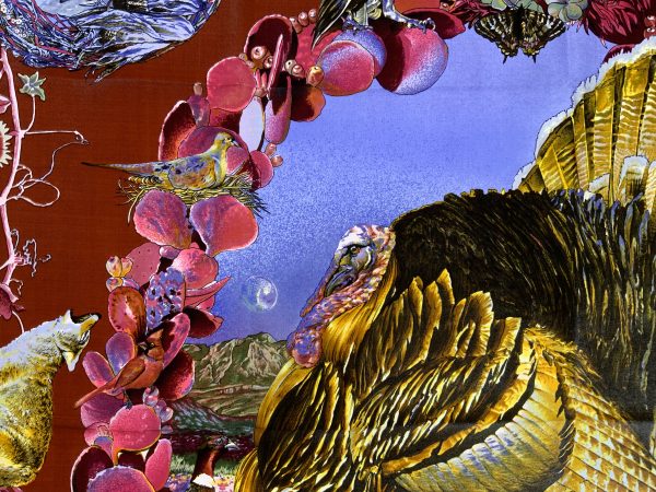 Faune Et Flore Du Texas - Image 7