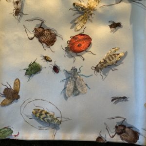 Insectes Sabree Special Issue