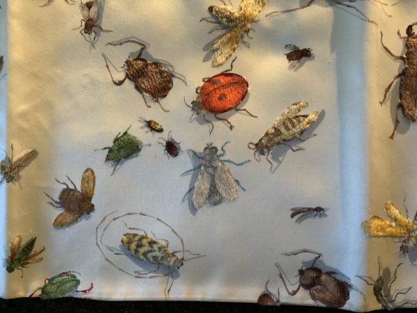 Insectes Sabree Special Issue