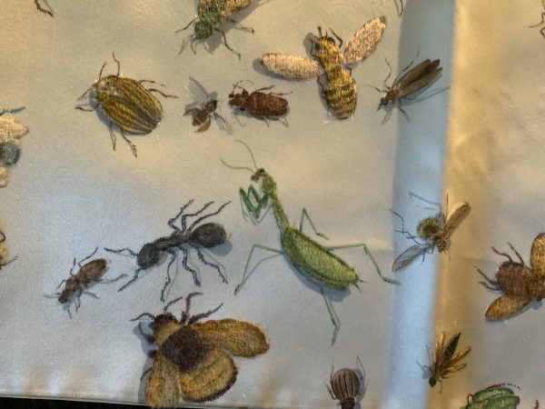 Insectes Sabree Special Issue - Image 2